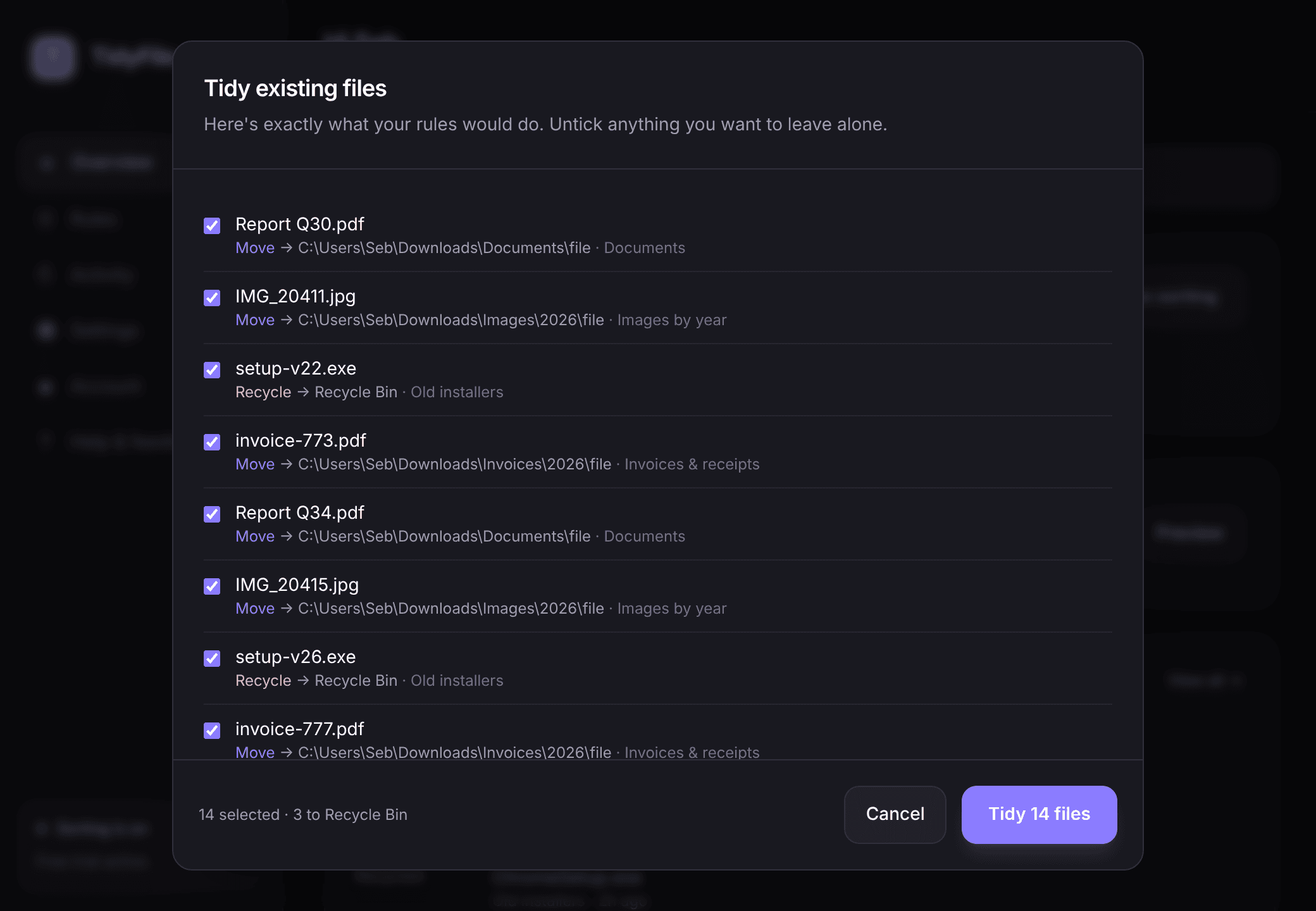 Tidy existing files preview listing each file and where it will be moved before anything happens